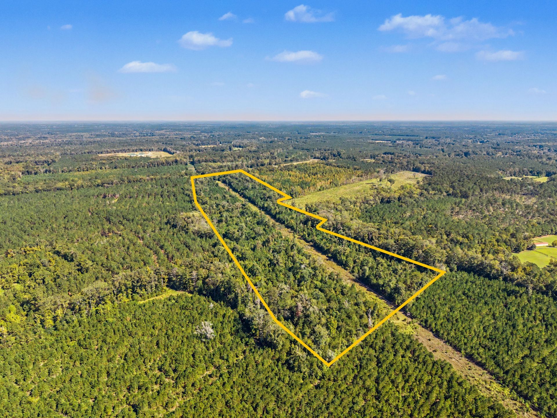 9750 Cottageville Highway Photo 37