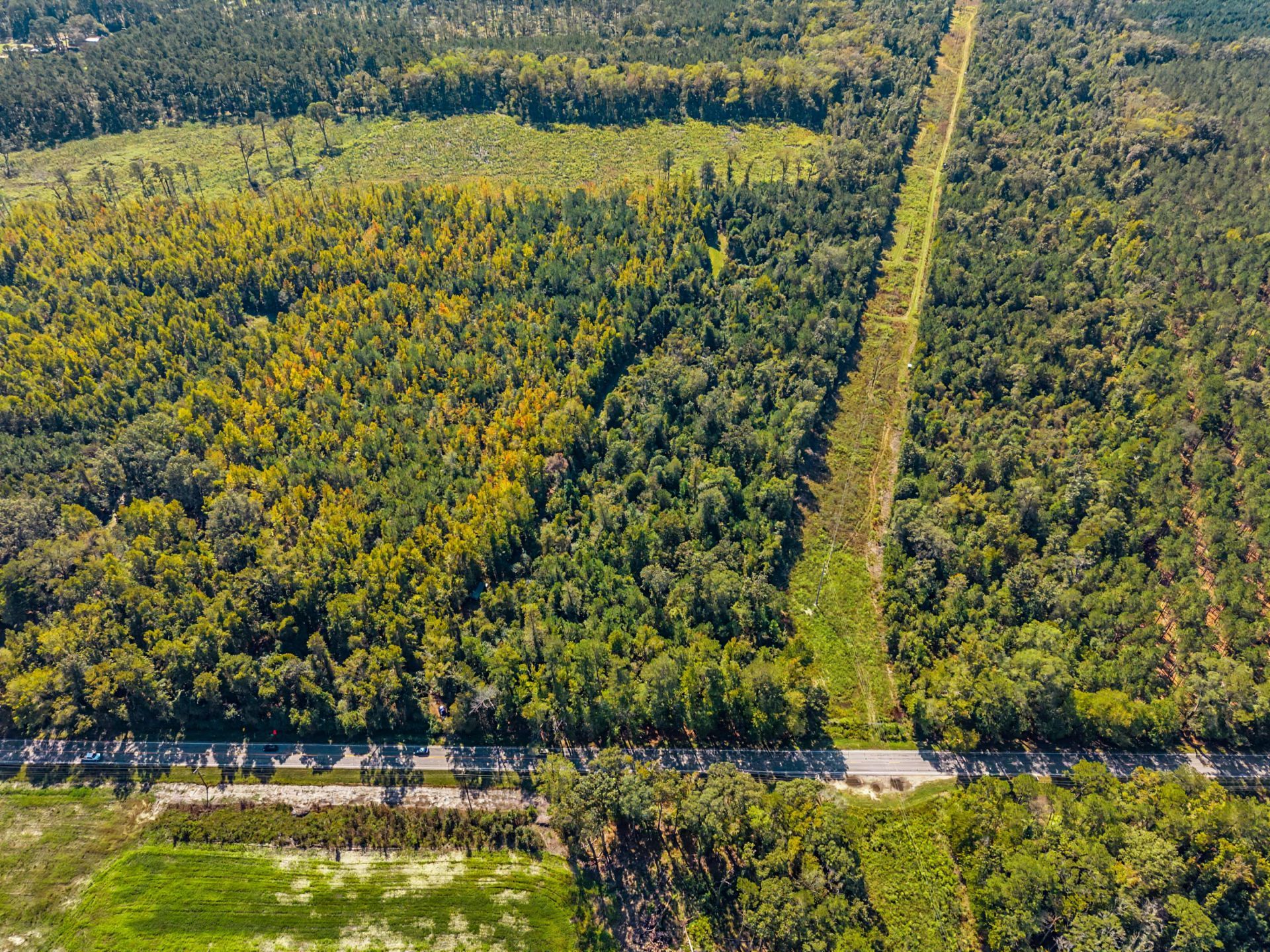 9750 Cottageville Highway Photo 38