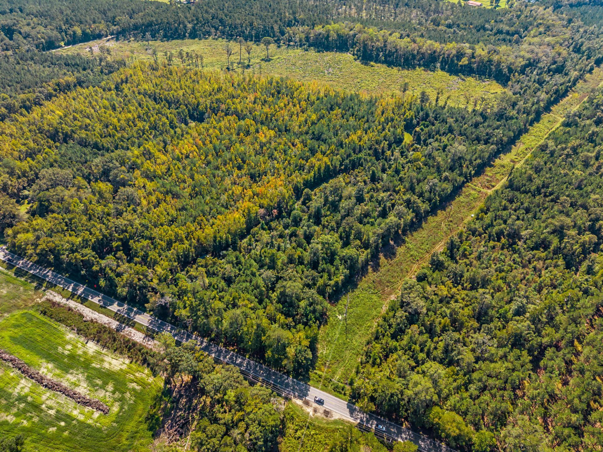 9750 Cottageville Highway Photo 39