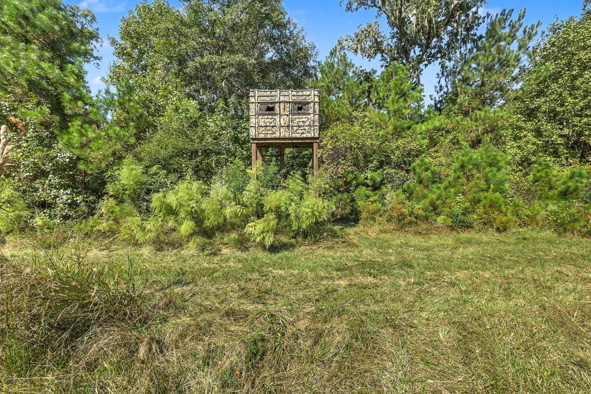9750 Cottageville Highway Photo 4