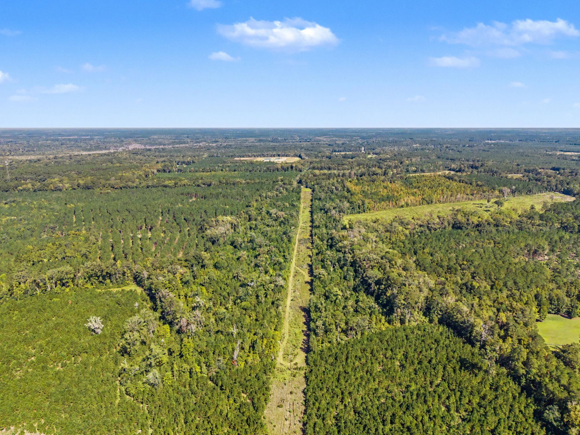 9750 Cottageville Highway Photo 41