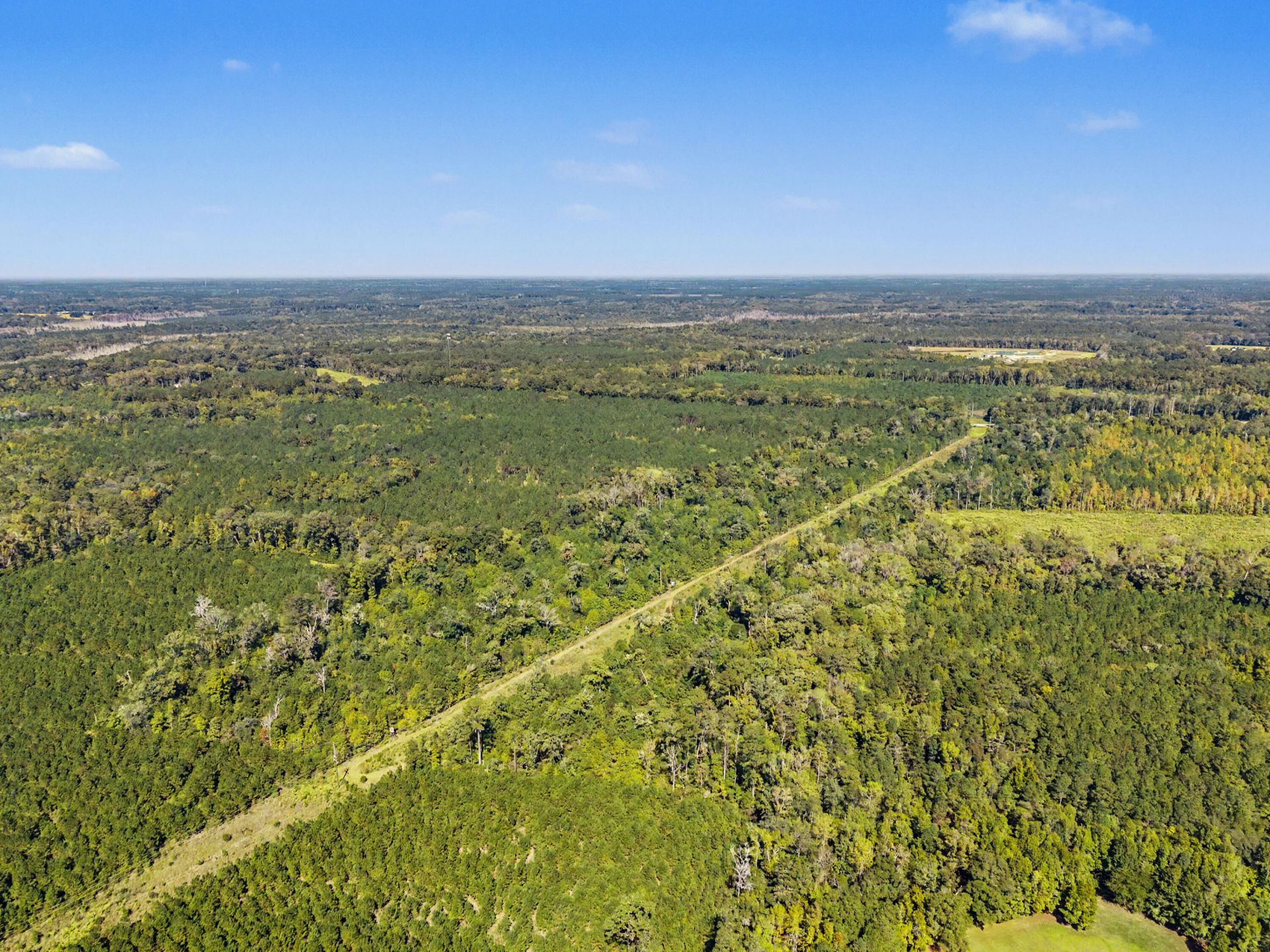 9750 Cottageville Highway Photo 42