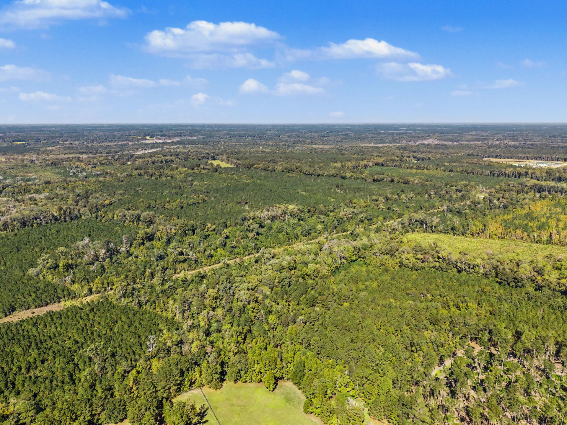 9750 Cottageville Highway Photo 43