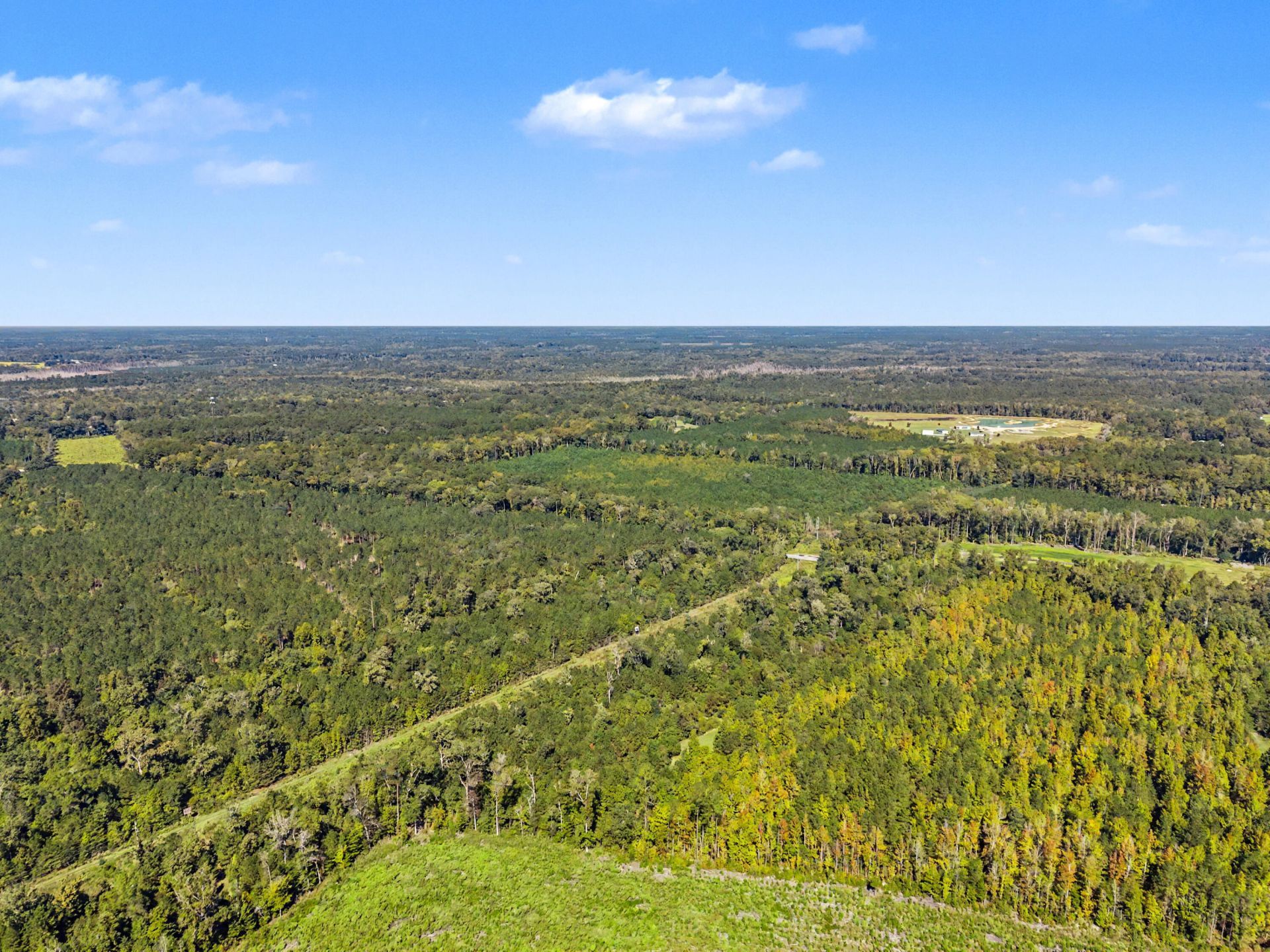 9750 Cottageville Highway Photo 44