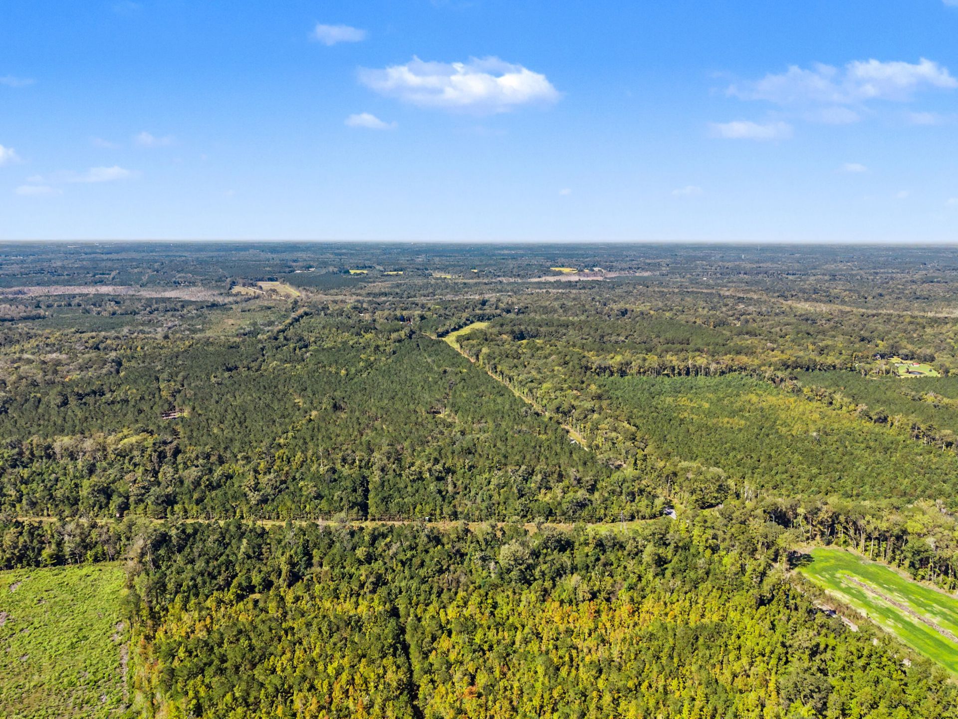 9750 Cottageville Highway Photo 45