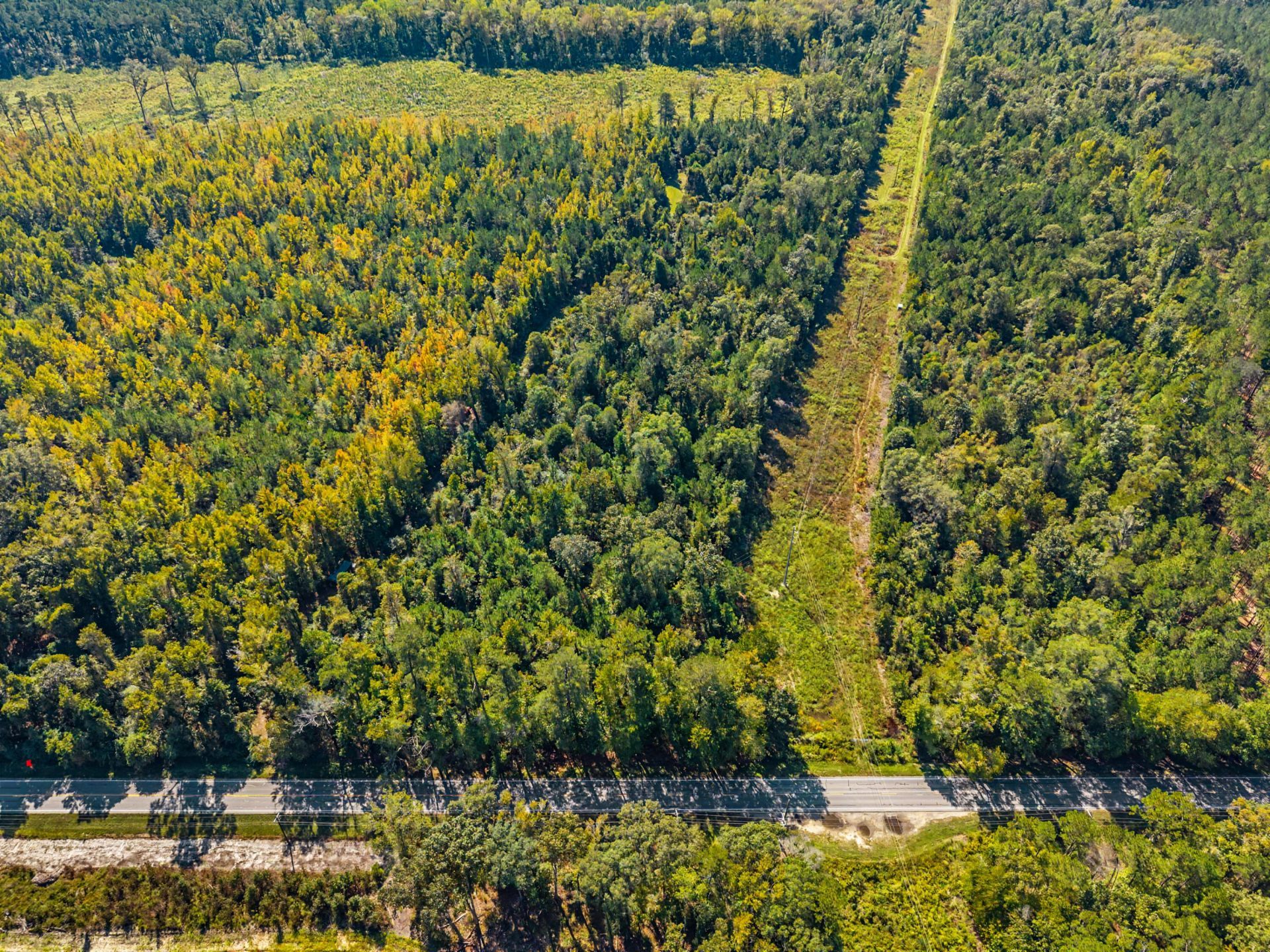 9750 Cottageville Highway Photo 48