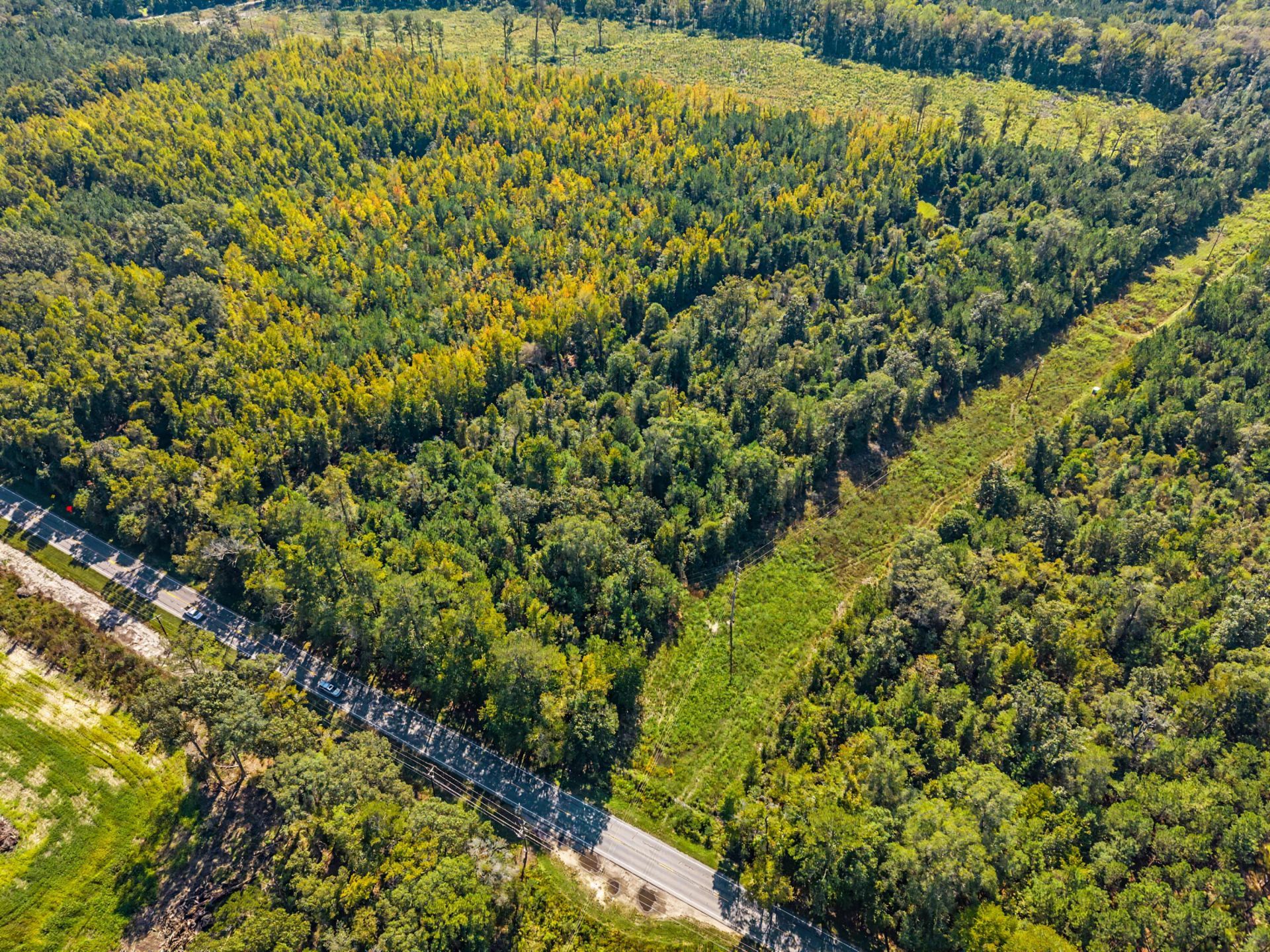 9750 Cottageville Highway Photo 49