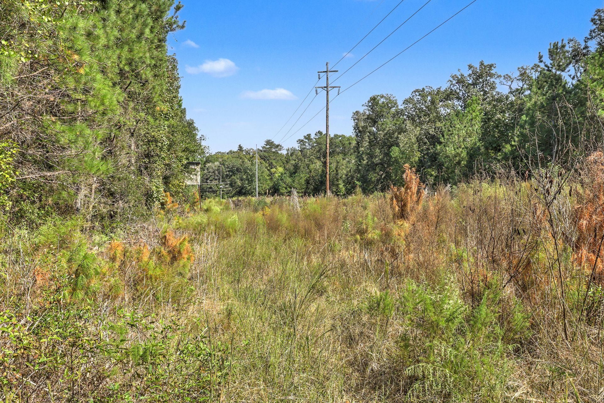 9750 Cottageville Highway Photo 5