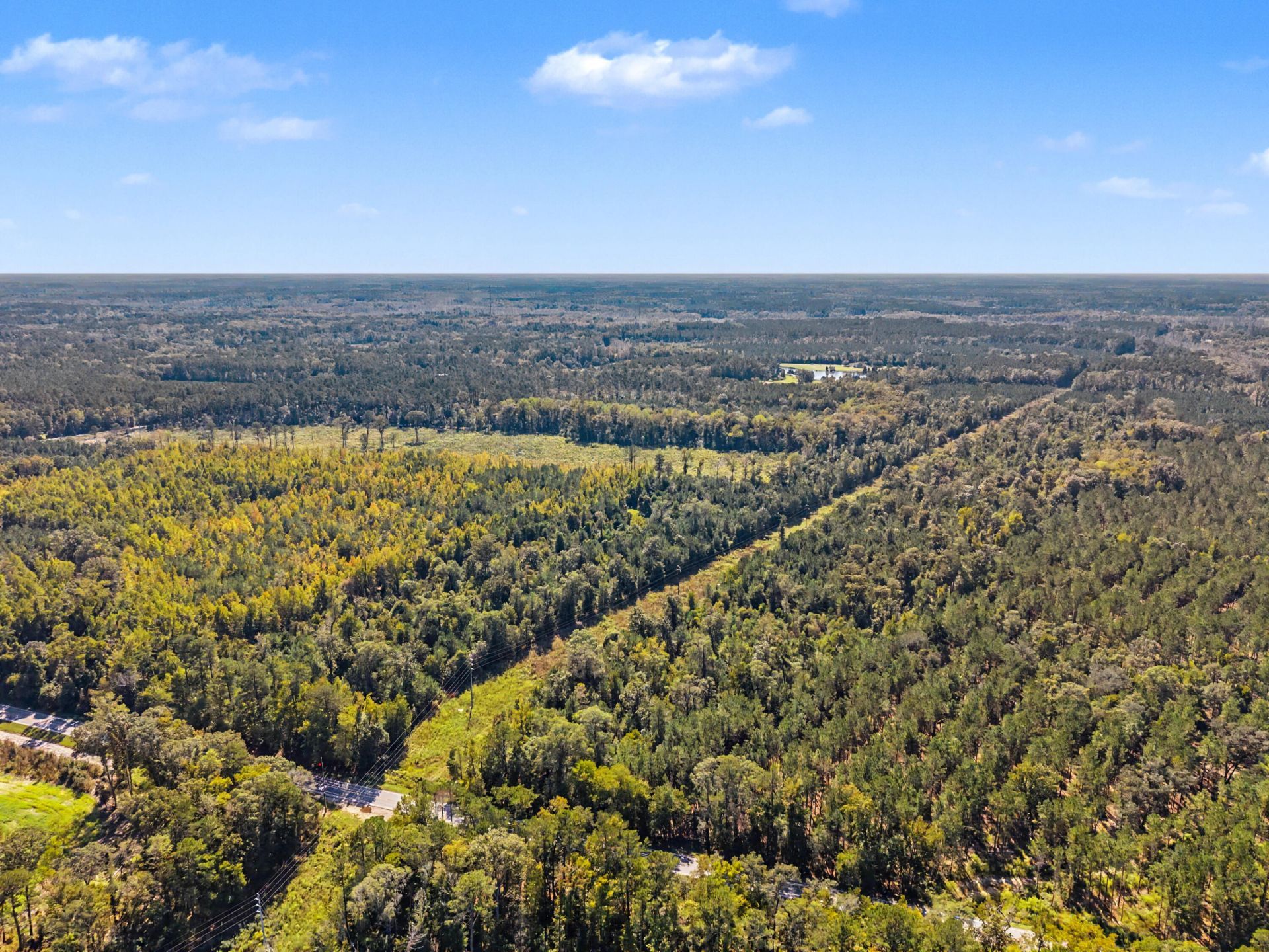 9750 Cottageville Highway Photo 50