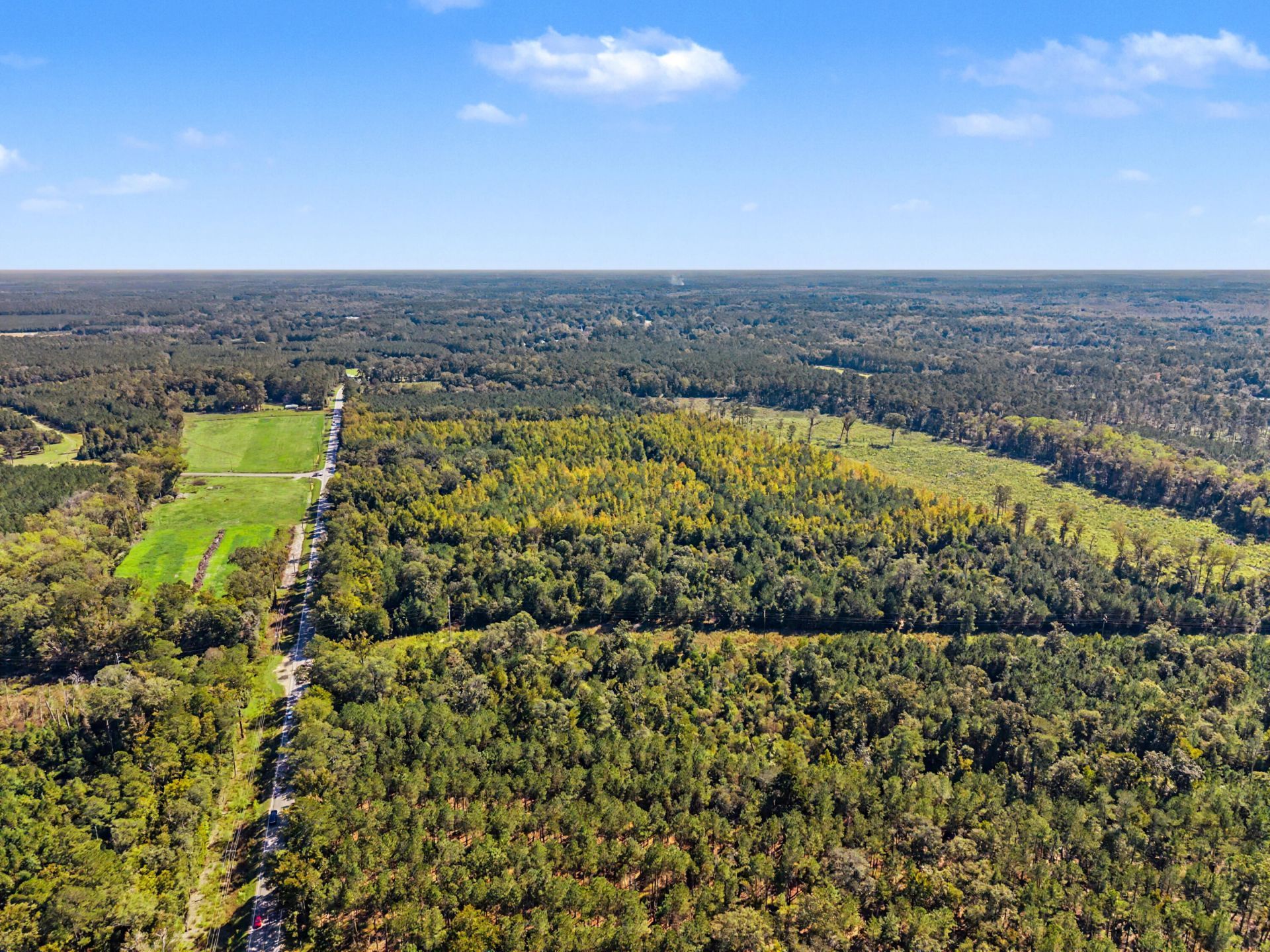 9750 Cottageville Highway Photo 51