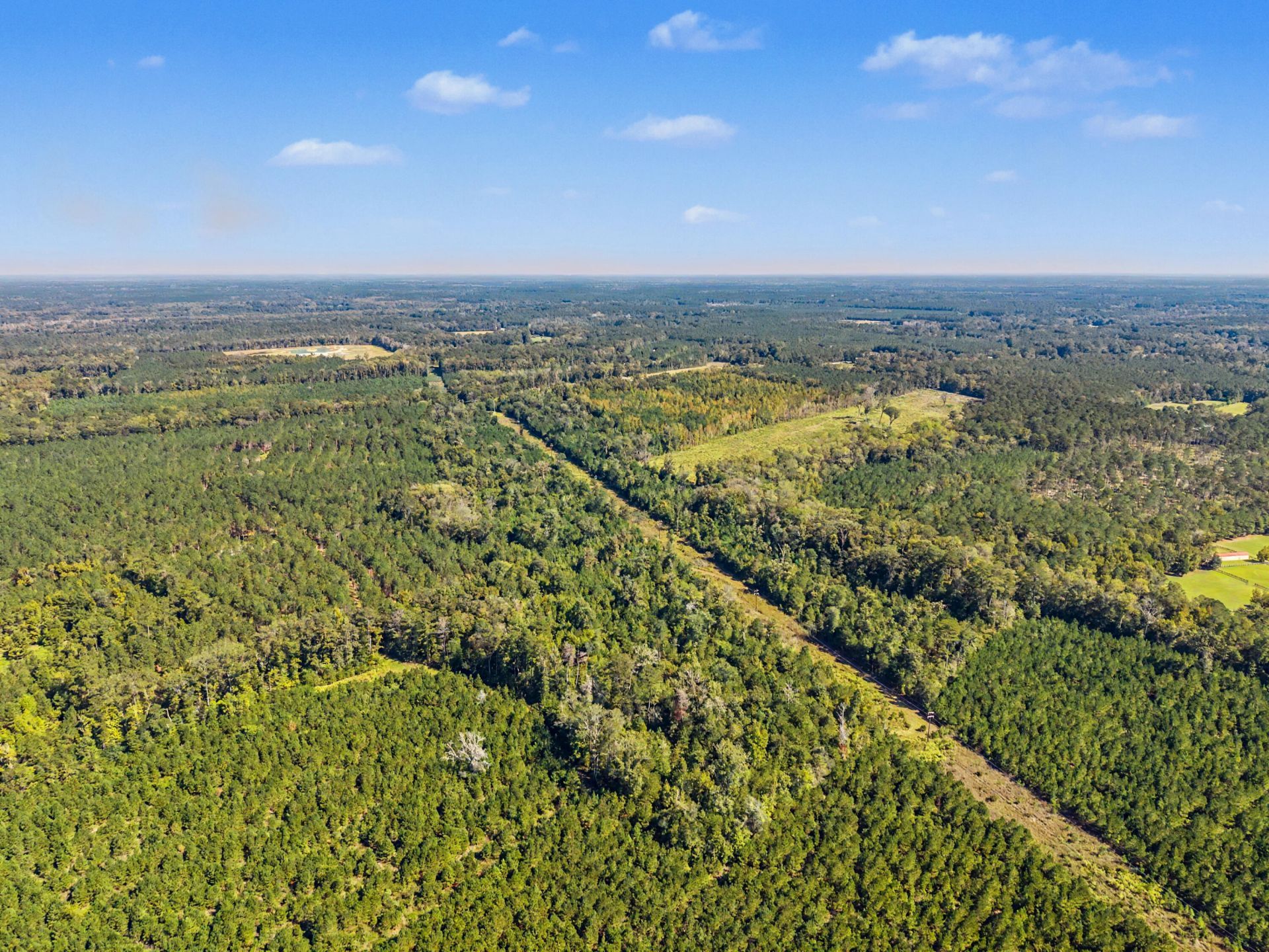 9750 Cottageville Highway Photo 52