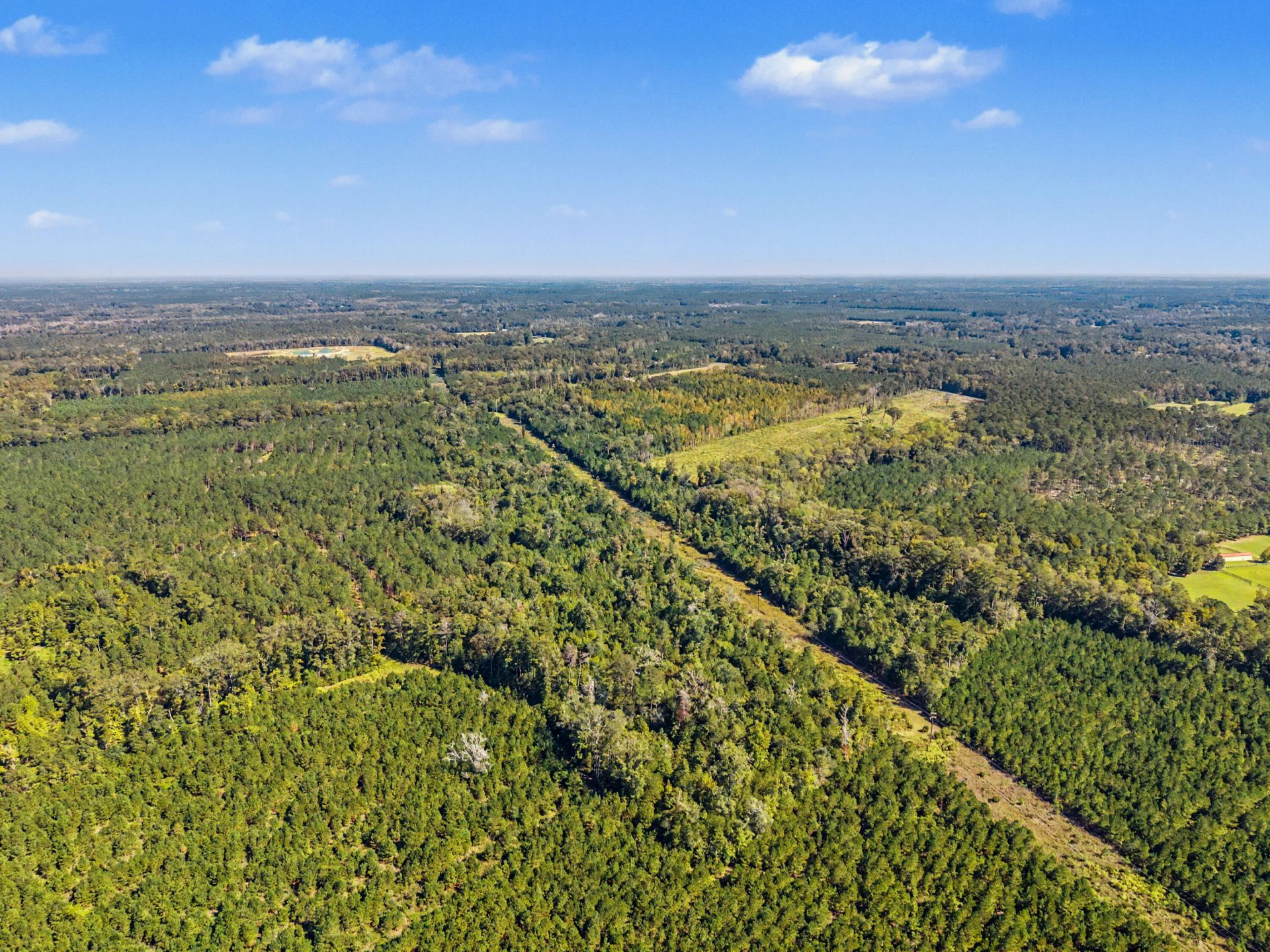 9750 Cottageville Highway Photo 53