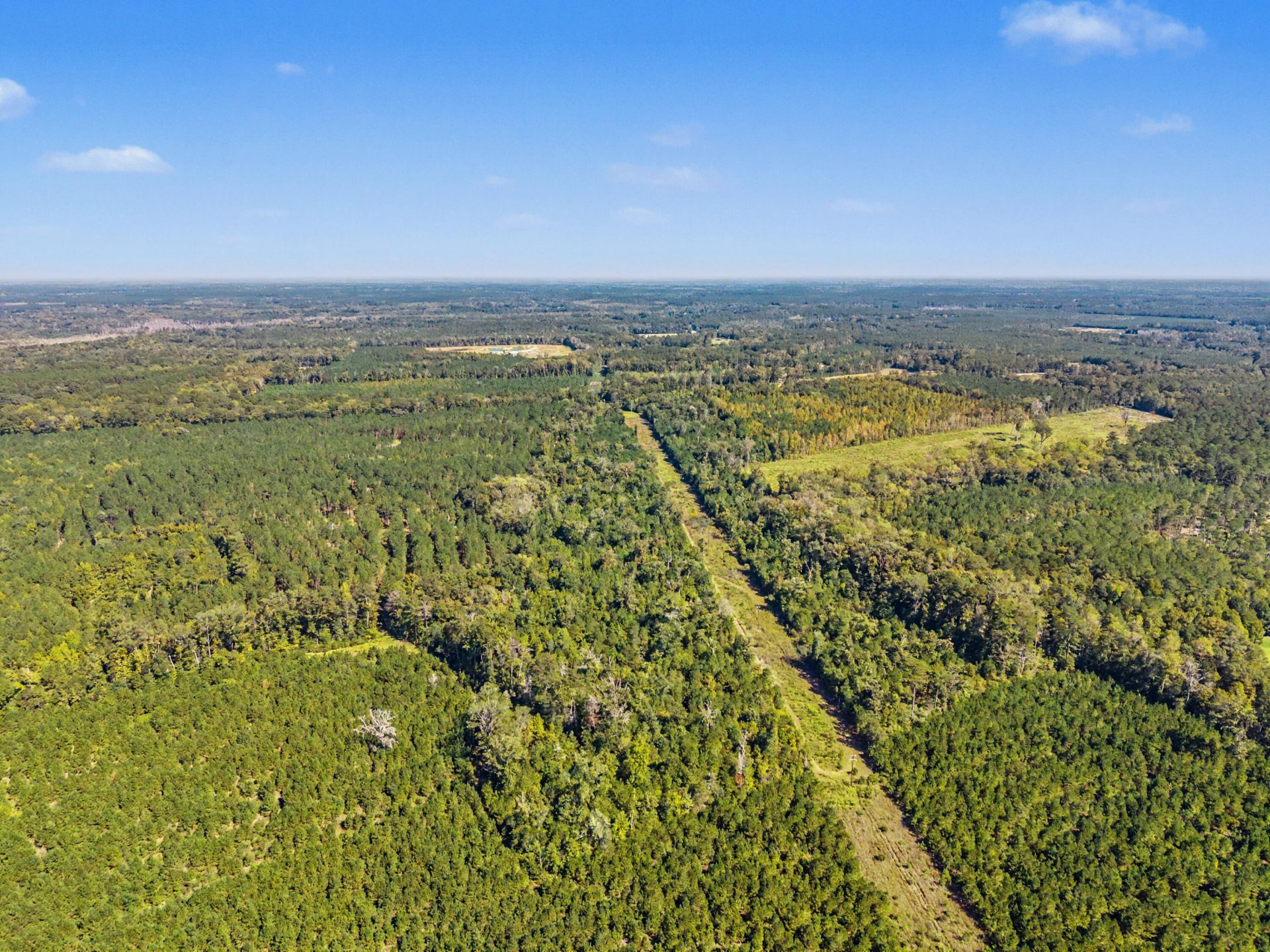 9750 Cottageville Highway Photo 54
