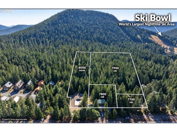 89392 E HIGHWAY 26, Government Camp, OR 97028