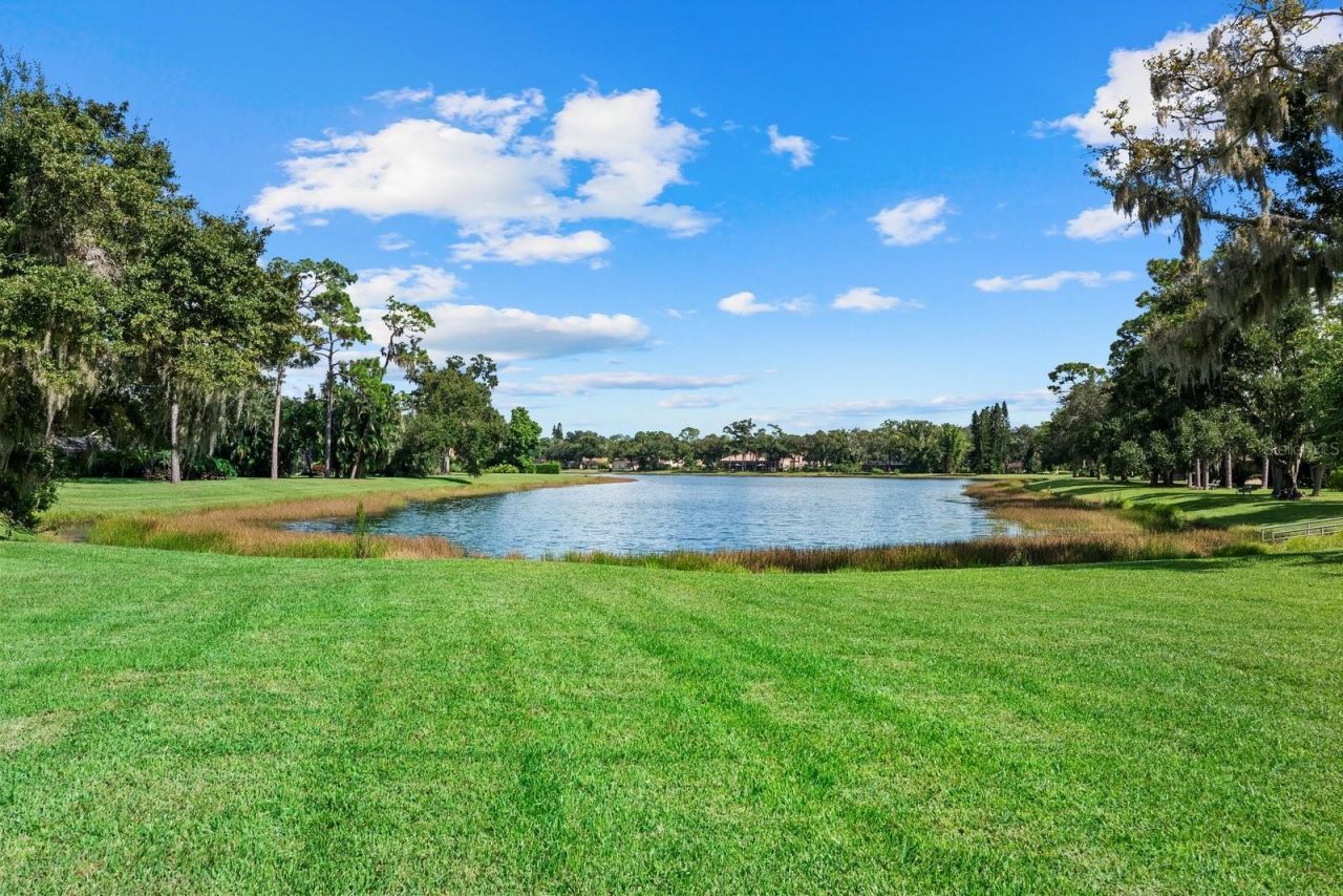 7303 Weeping Willow Drive, Sarasota, FL 34241 Photo