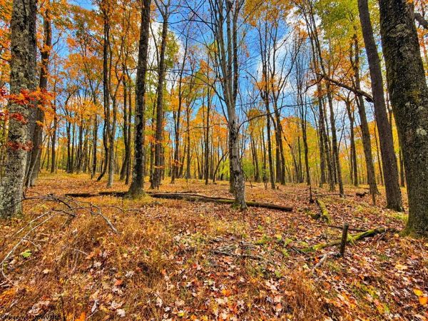23 E Alpine Drive, Terra Alta, WV 26764