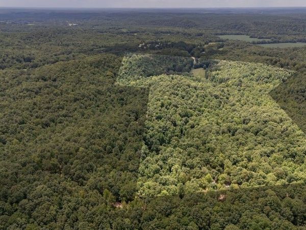 0 Copperhead Ln , Olivehill, TN 38475