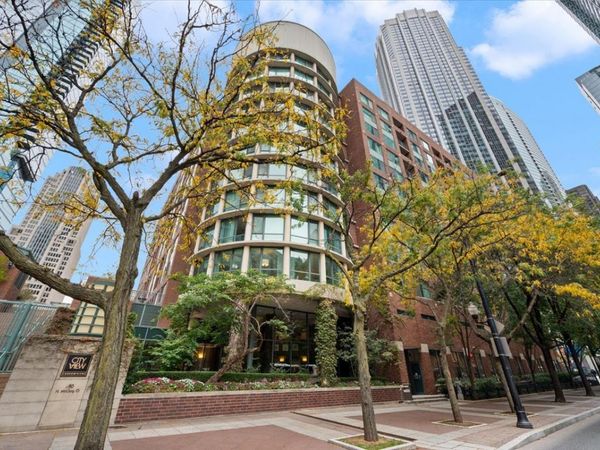 480 N Mcclurg Court , Unit 310, Chicago, IL 60611