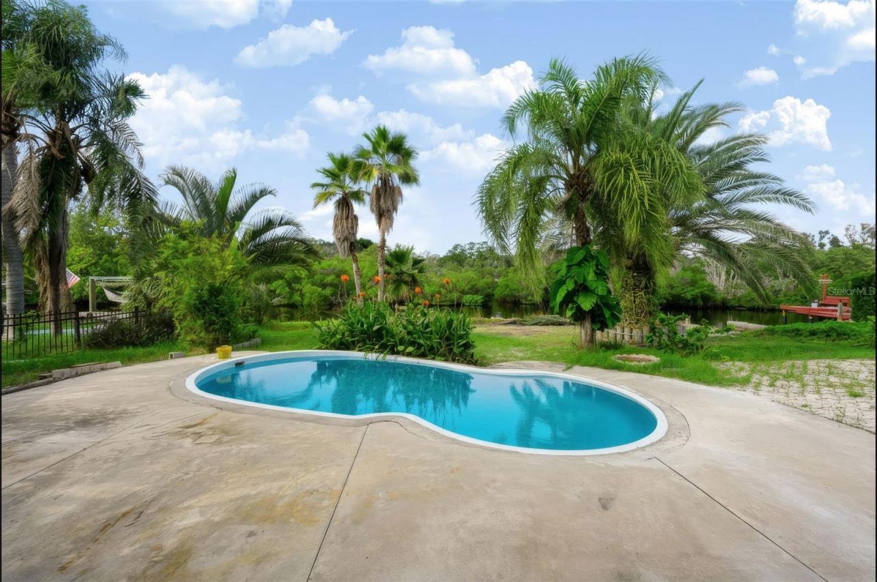 2123 Bayou Drive, Holiday, FL 34691 Photo