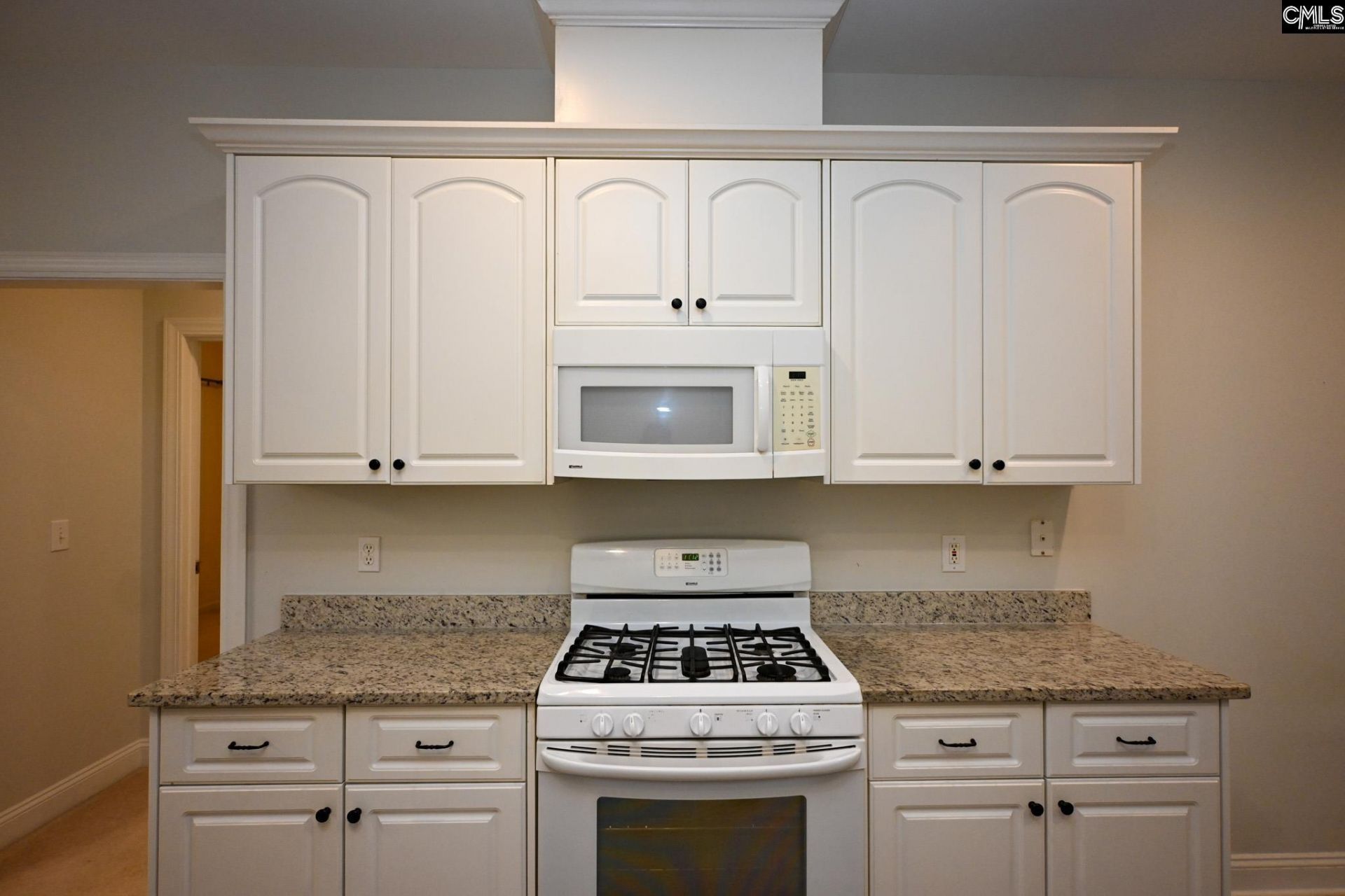 205 Black Walnut Drive  Photo 23
