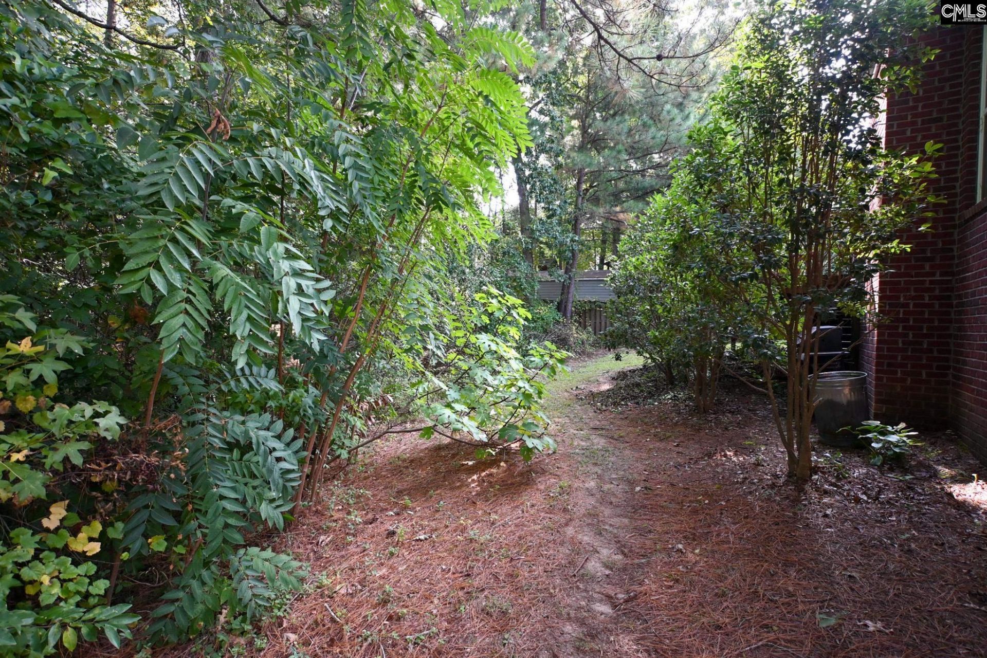 205 Black Walnut Drive  Photo 49