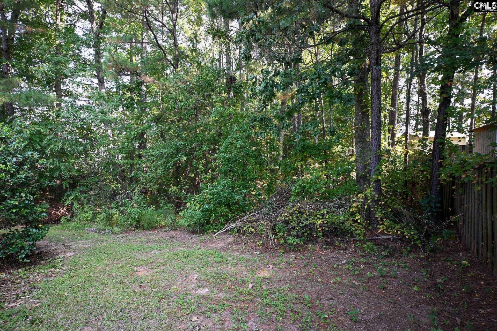 205 Black Walnut Drive  Photo 52