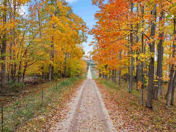 3751 Goslow Road, Gaylord, MI 49735