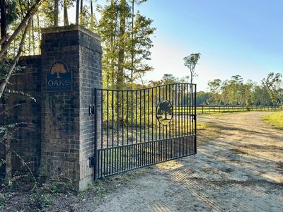 0 Morrison Canal Drive, McClellanville, SC 29458