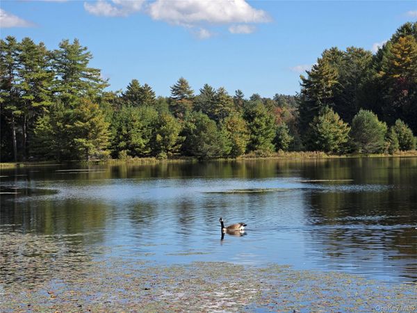 Lot 11 Deer Meadow Road , White Lake, NY 12786