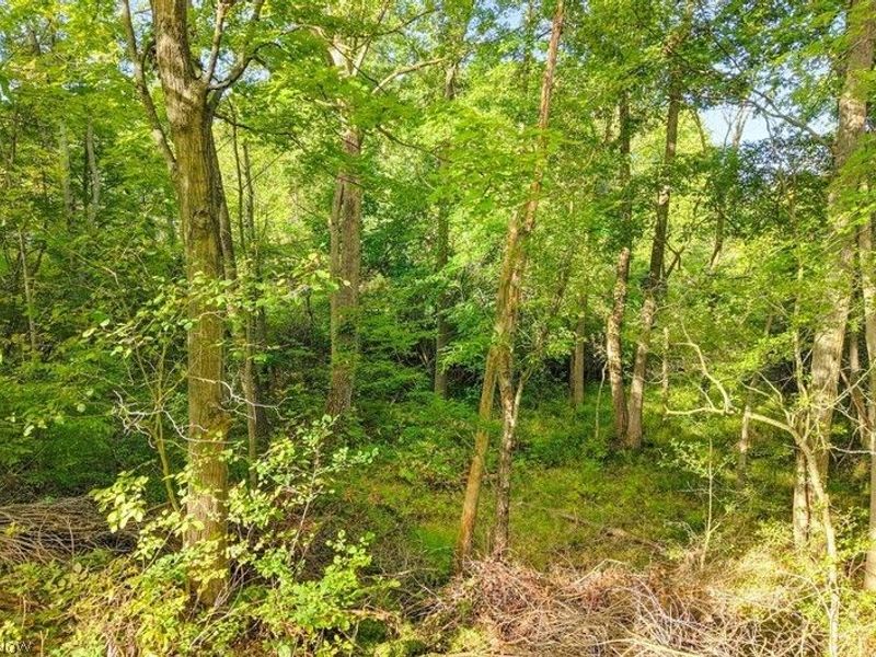 27912 Pergl Road, Glenwillow, OH 44139 Photo 44