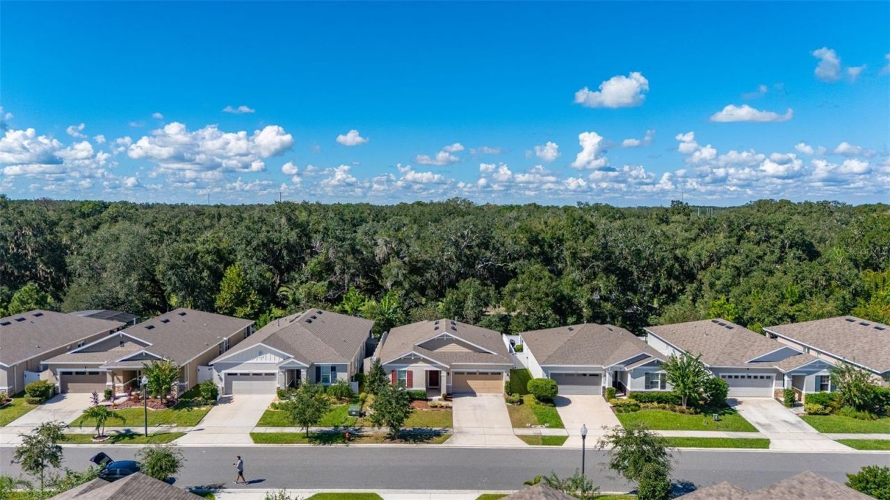 5240 Meadow Song Drive , Okahumpka, FL 34762 Photo