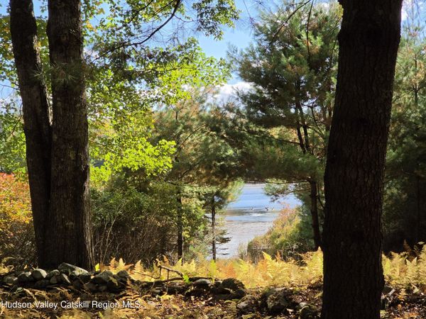 Lot 11 Deer Meadow Road, White Lake, NY 12786