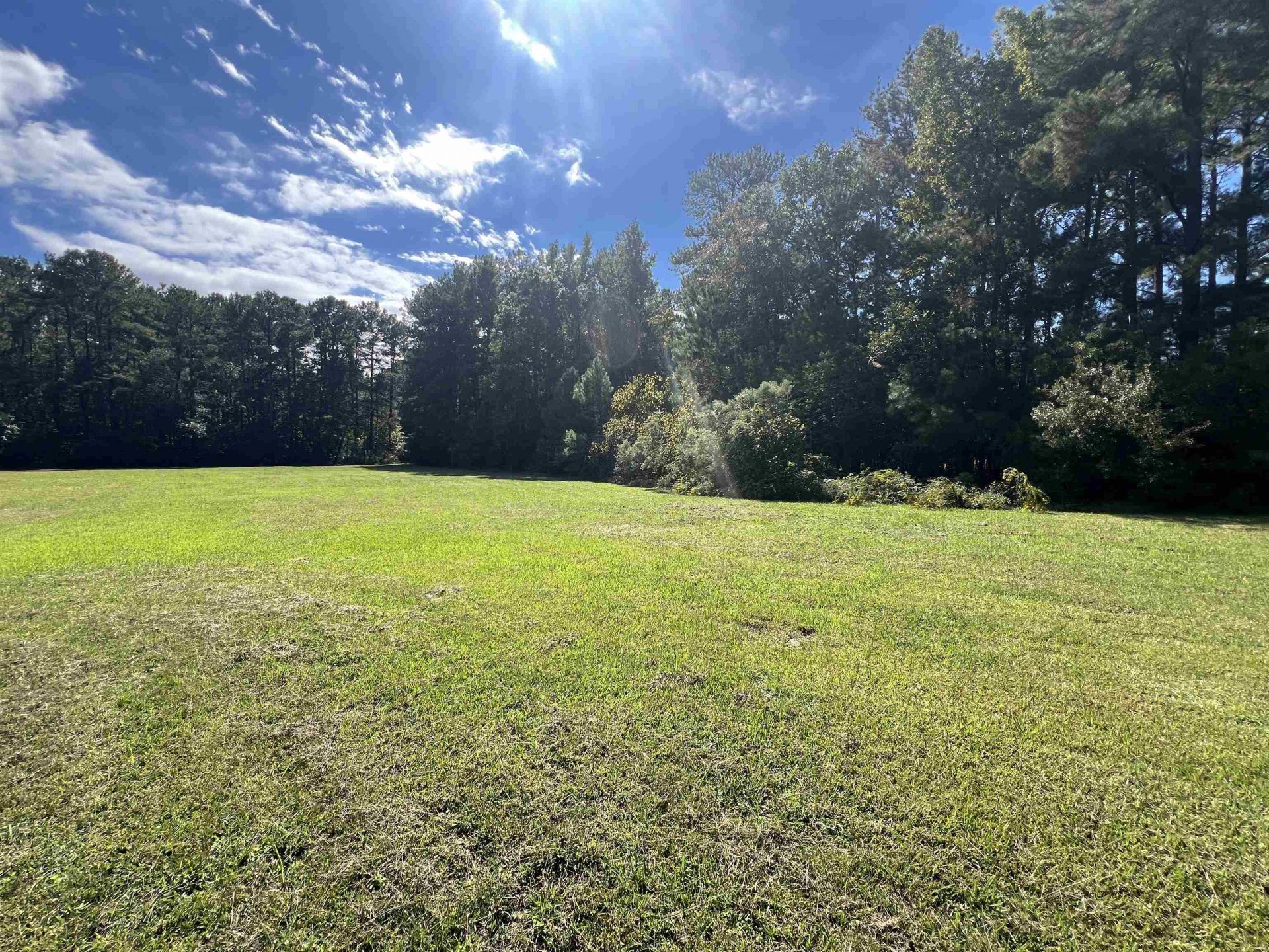 225 Richburg Rd Photo 41