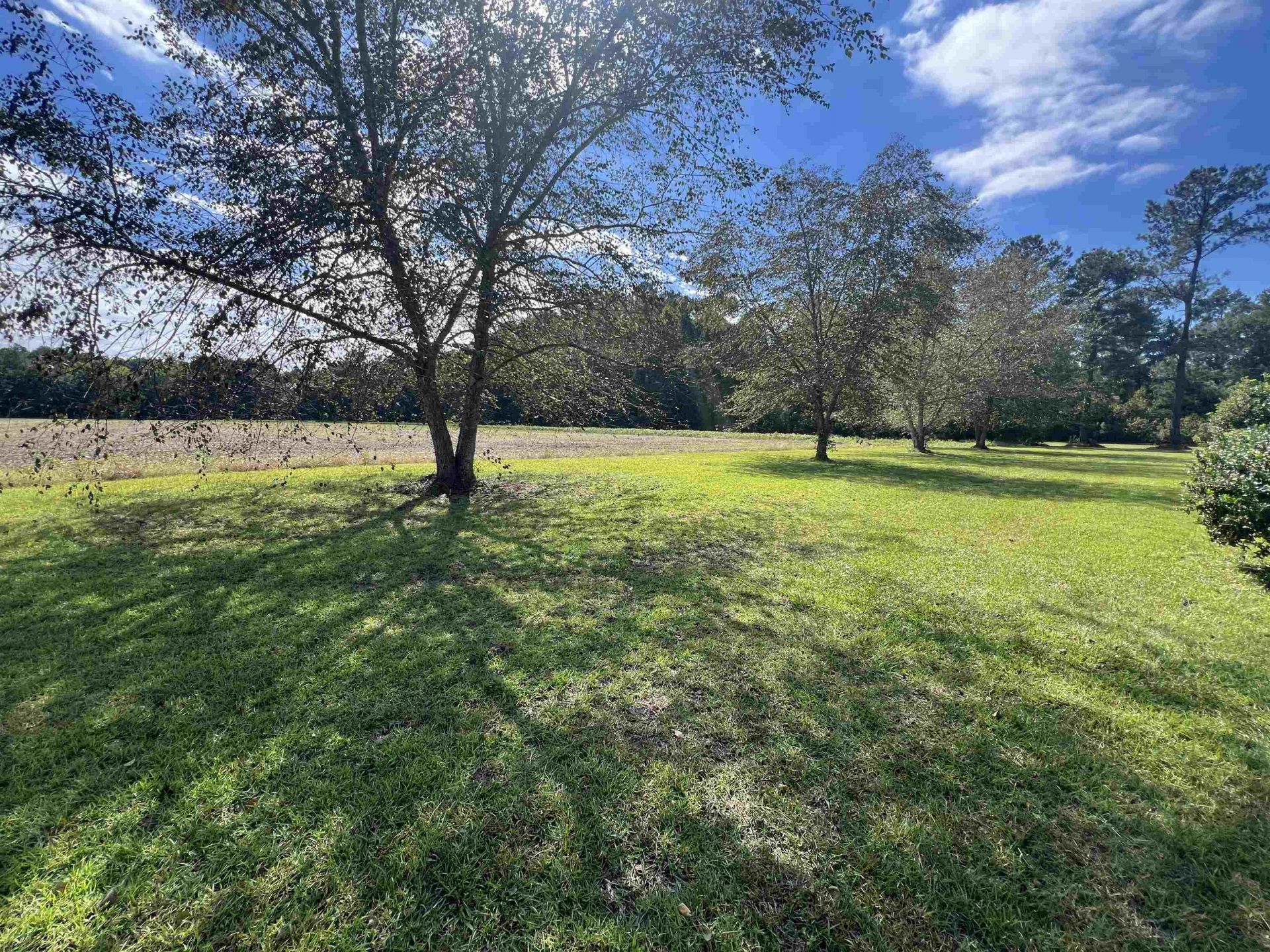 225 Richburg Rd Photo 48
