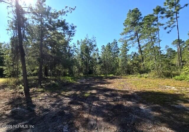 6049 Westwood Road S, Jacksonville, FL 32234 Photo