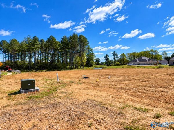 24590 Carnoustie Drive, Athens, AL 35613