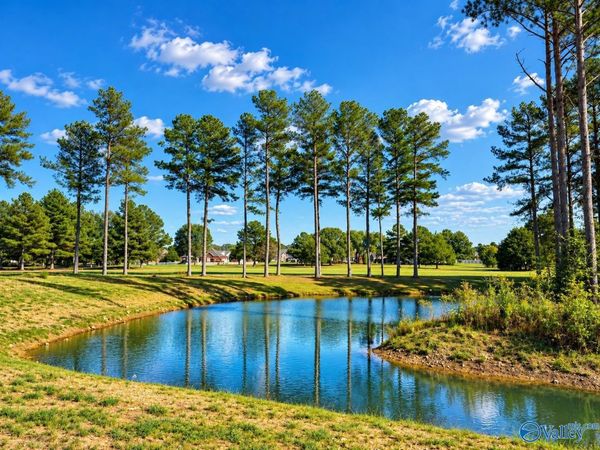 24590 Carnoustie Drive, Athens, AL 35613