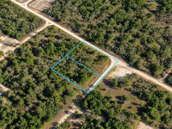 138 & 142 FRANKLIN DRIVE , HAWTHORNE, FL 32640