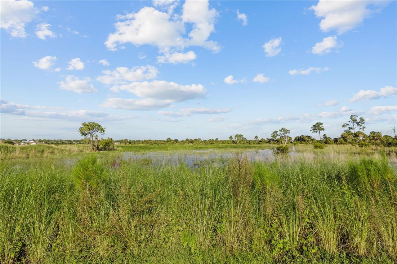 17740 Shade Tree Loop , Punta Gorda, FL 33982 Photo
