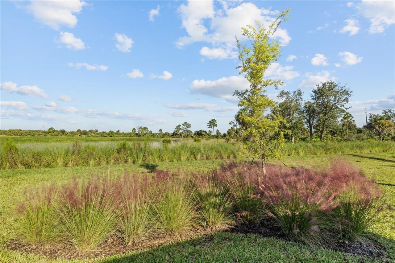 17740 Shade Tree Loop , Punta Gorda, FL 33982 Photo