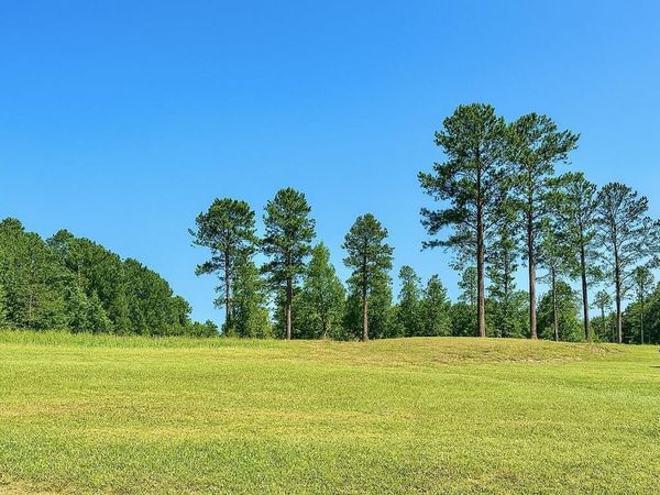 121 Vision Circle, Canton, MS 39046