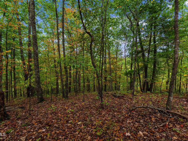 Tbd Rasnick Hollow Road, Elizabethton, TN 37643