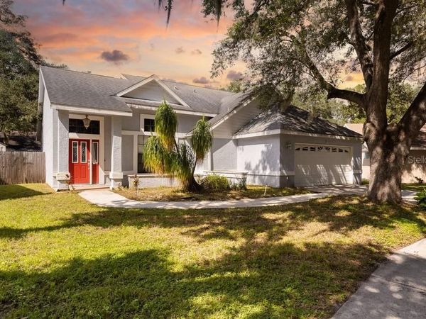 4119 MORELAND DRIVE , VALRICO, FL 33596