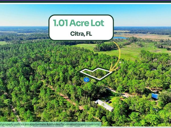 TBD NE 66TH AVENUE , CITRA, FL 32113