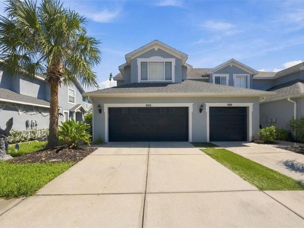 10313 WILLOW LEAF TRAIL , TAMPA, FL 33625