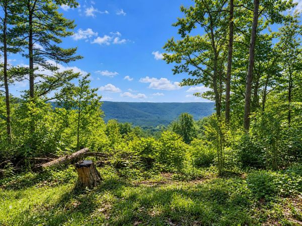 1309 Wind Rush Way , Unit 15, Monterey, TN 38574