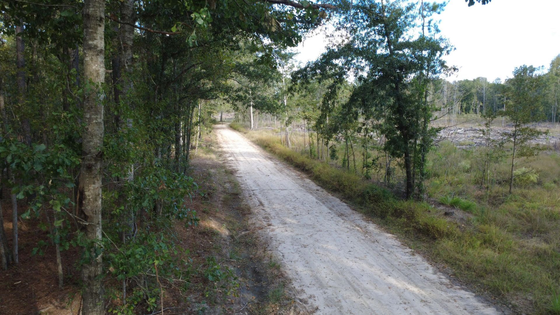 0 Gum Branch & Sweetgum Road Photo 10