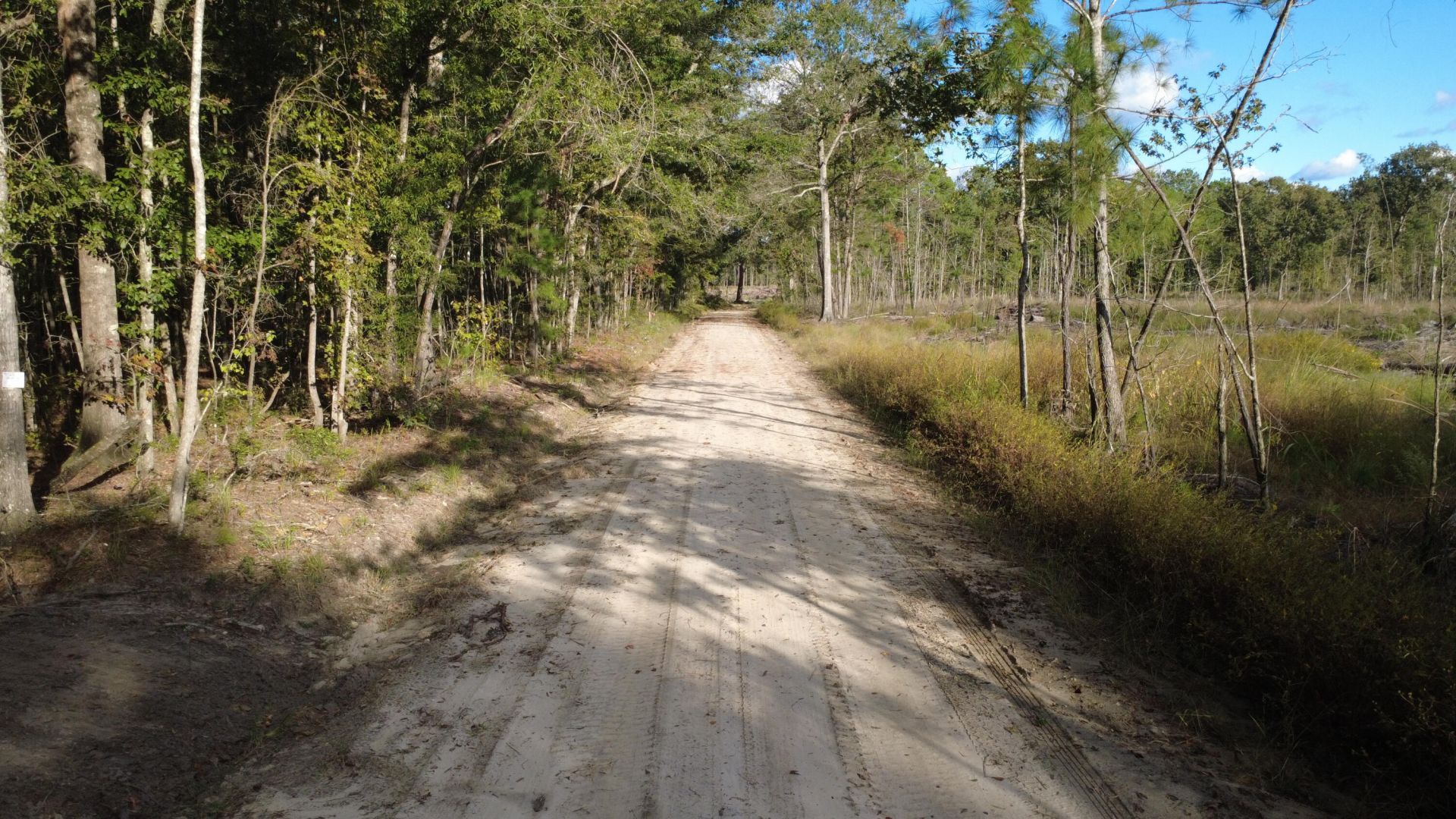 0 Gum Branch & Sweetgum Road Photo 11