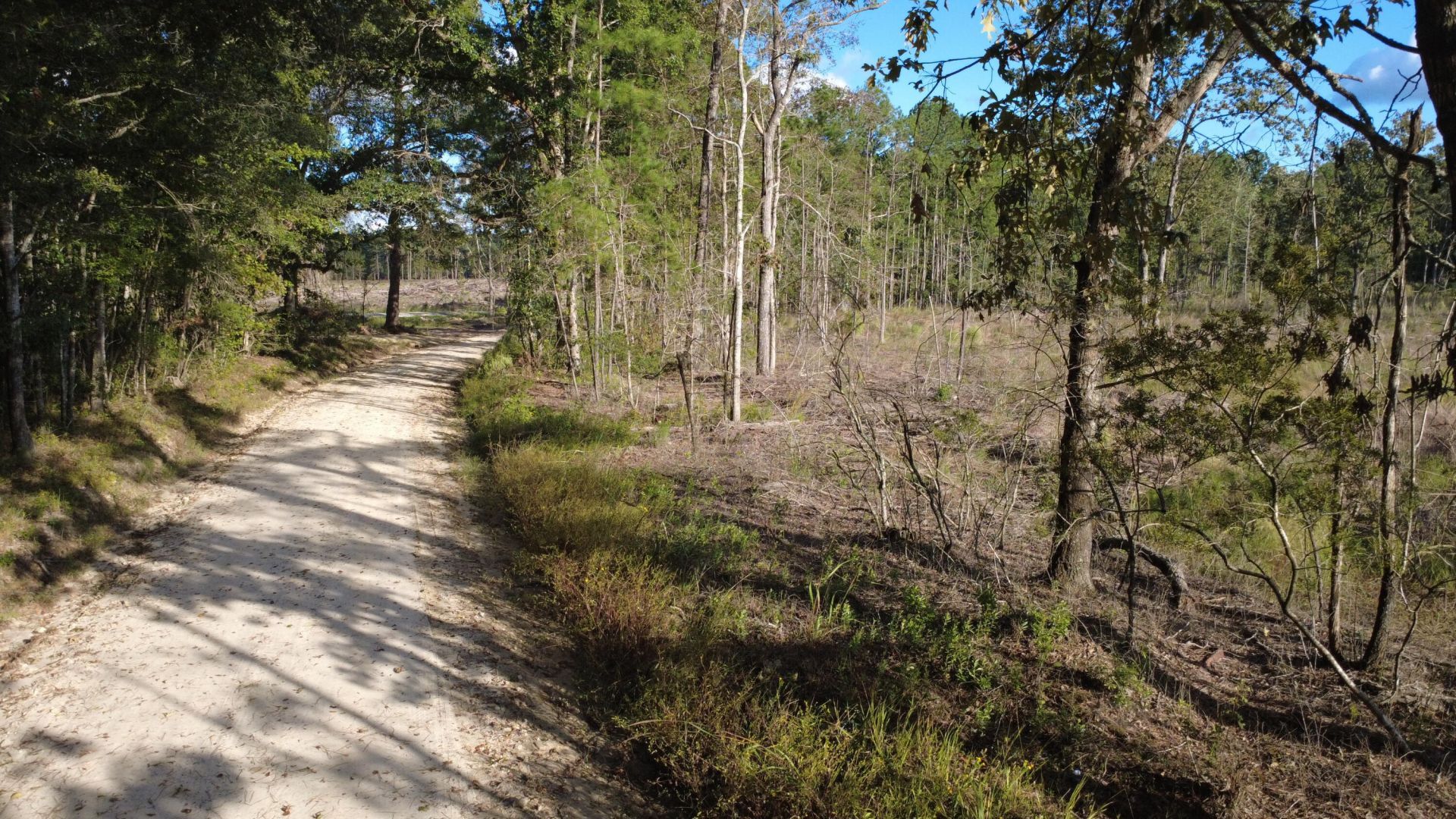0 Gum Branch & Sweetgum Road Photo 12
