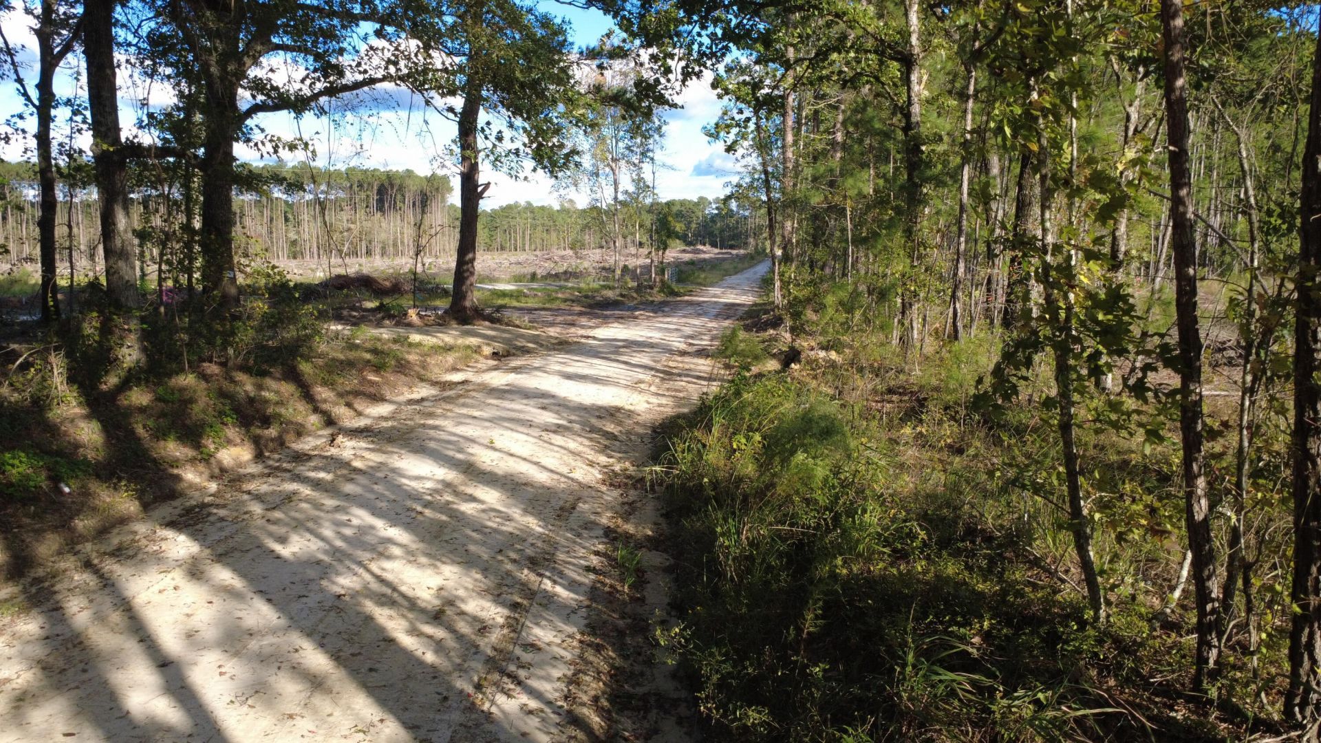 0 Gum Branch & Sweetgum Road Photo 13